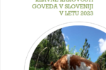 Pregled zakola in klavne kakovosti goved, Slovenija 2023